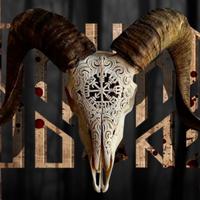 sh0wram's Twitch profile picture