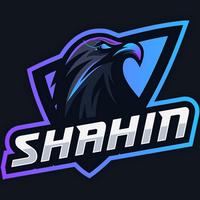 shahin200x's Twitch profile picture