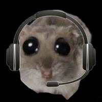 shaidenrogue_'s Twitch profile picture