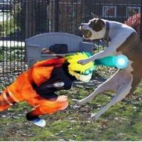 shankz's Twitch profile picture