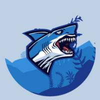 sharkk's Twitch profile picture