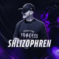 shlizophren's Twitch profile picture