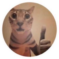 shoylgate's Twitch profile picture
