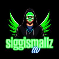 siggismallzttv's Twitch profile picture