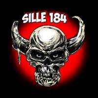 sille184's Twitch profile picture