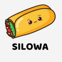 silowa's Twitch profile picture