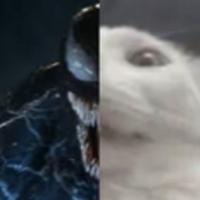 simbionte's Twitch profile picture