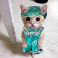 sirkongfn's Twitch profile picture