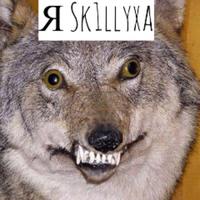 sk1llyx4's Twitch profile picture
