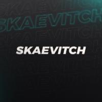 skaevitch's Twitch profile picture