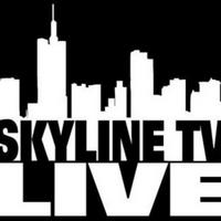 skylinetvlive's Twitch profile picture