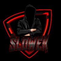 slowek's Twitch profile picture