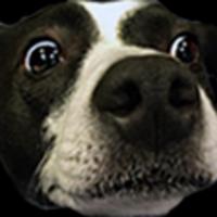 smartguy's Twitch profile picture