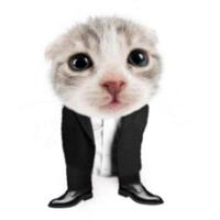 snok4tt's Twitch profile picture
