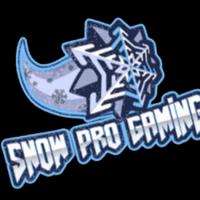 snowpro_gaming's Twitch profile picture