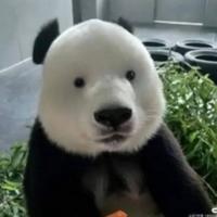 snox1c's Twitch profile picture