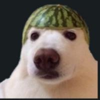 snwynw's Twitch profile picture