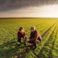 soilzfarm's Twitch profile picture