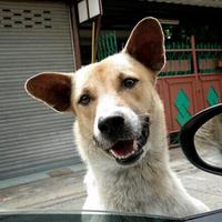solotic's Twitch profile picture