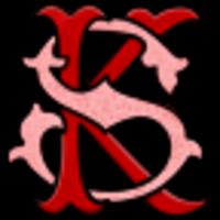 soullesskami's Twitch profile picture