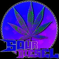 sourdiesel_6969's Twitch profile picture