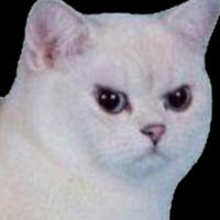 spacejamsxl's Twitch profile picture