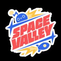 spacevalley's Twitch profile picture