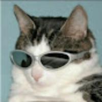 spl1tgg's Twitch profile picture