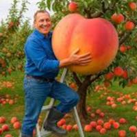 sproutgardenusa's Twitch profile picture