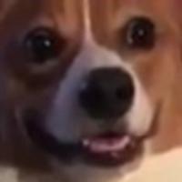 stanyyy's Twitch profile picture