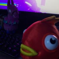 steerio's Twitch profile picture
