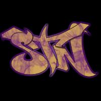 stn2k's Twitch profile picture