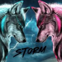 stormmgx's Twitch profile picture