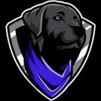 straydogtv's Twitch profile picture