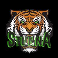 stunna_official's Twitch profile picture