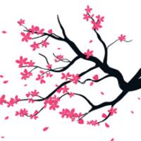 suijicup's Twitch profile picture