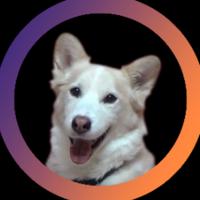 taisontv's Twitch profile picture