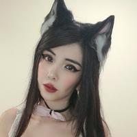 taitaigamer's Twitch profile picture