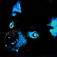 tazzydevill's Twitch profile picture