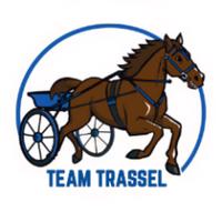 teamtrasselcom's Twitch profile picture