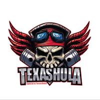 texashula's Twitch profile picture