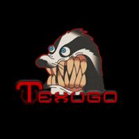 texugonc's Twitch profile picture