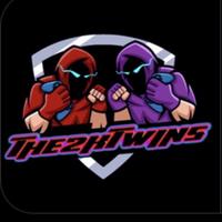 the2ktwins's Twitch profile picture