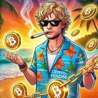 the_crypto_houdini's Twitch profile picture