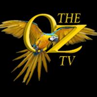 the_oztv's Twitch profile picture