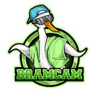 thebramcam's Twitch profile picture