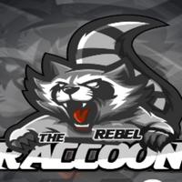 therebelraccoon's Twitch profile picture