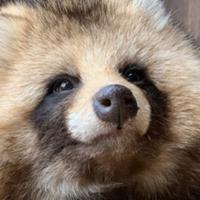 thetanukimr's Twitch profile picture