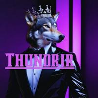 thundrir's Twitch profile picture