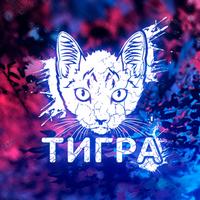 tigra's Twitch profile picture